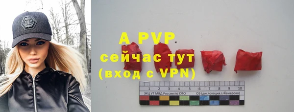 винт Белокуриха