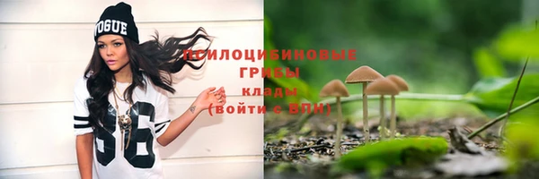 винт Белокуриха